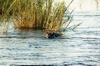 Divava Okavango Resort And Spa Bagani Eksteriør bilde